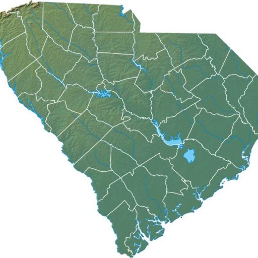 South Carolina high risk insurance resources.